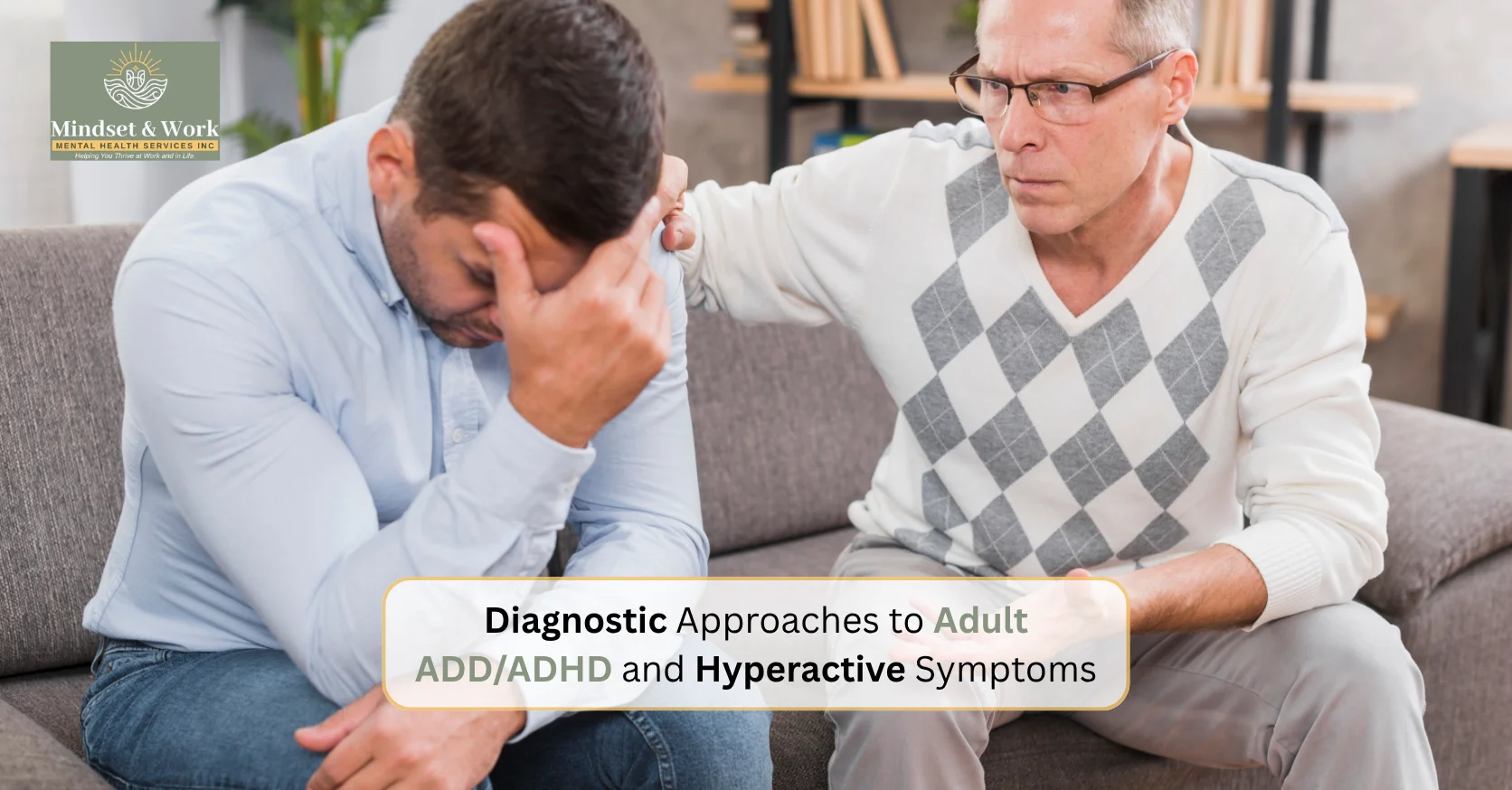 Diagnostic Approaches to Adult ADD/ADHD and Hyperactive Symptoms